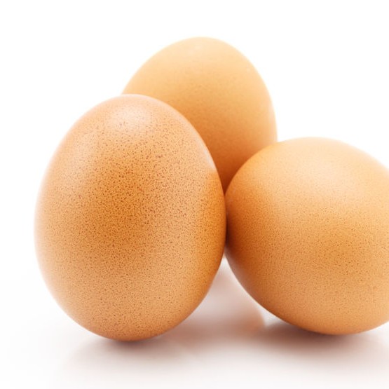 6.6 Extra Egg